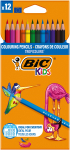 V&auml;rvipliiatsid Bic, 832566, 12 tk
