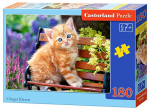 Pusle Castorland Ginger Kitty, 180 tk