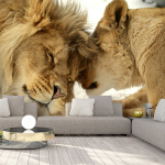 Fototapeet Artgeist Lion Tenderness, 70 cm x 100 cm