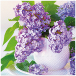 Pabersalvr&auml;tikud PAW Lilac Cup Bouquet, 33 cm x 33 cm, violetne v., 20 tk