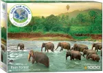 Pusle Eurographics Save Our Planet Rainforest, 67.6 cm x 48.9 cm, 1000 tk, pruun v./roheline v.
