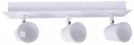 Valgusti lagi CristalRecord Ice 43-613-01-000, LED, 4000 &deg;K, 3 x 5 W, valge v. / valge v.