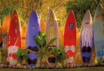 Fototapeet Komar Maui 8-902, 368 cm x 254 cm