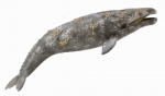 M&auml;ngukujuke Collecta 88836, 22.8 cm, hall v.