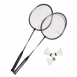 Sulgpallikomplekt Master Fly 2 B059, 5 tk
