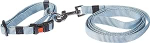 Koera rihm Beeztees, helesinine v., 1.2 m x 15 mm