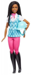 Nukk Mattel Barbie Mysteries The Great Horse Chase Brooklyn, 29 cm, mitmev&auml;rviline