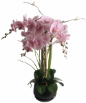 Kunsttaim potis, orhidee Home4you Garden Queen, roheline v./roosa v., 68 cm x 26 cm