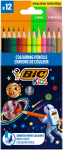 V&auml;rvipliiatsid Bic, 12 tk