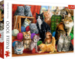 Pusle Trefl kittens 10555t, 48 cm x 68 cm, 1000 tk