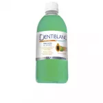 Suuvesi Dentiblanc Mouthwash, m&uuml;ndi maitse, 500 ml
