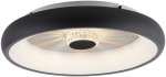 Valgusti lagi ja seinad Paul Neuhaus Vertigo 14384-18, LED, 2700 - 5000 &deg;K, 1 x 29 W, valge v.