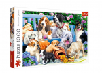 Pusle Puppies 10556t, 48 cm x 68 cm, 1000 tk