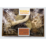 Terraariumi dekoratsioon Terra Natura Decoration Kit