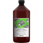 &Scaron;ampoon Davines NaturalTech Renewing, 100 ml
