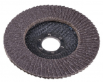 Lihvketas Expert, 125 mm x 22.23 mm
