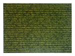 PVC p&otilde;randakate Thema Lux M13018, roheline v., 130 cm x 0.8 cm