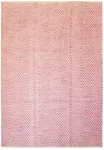 Vaip sise Kayoom Aperitif 510, roosa v., 170 cm x 120 cm