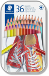 V&auml;rvipliiatsid Staedtler, 36 tk