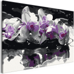 Maalimine numbrite j&auml;rgi Artgeist Purple Orchid (Black Background & Reflection In The Water) MA_0117, 60 x 40 cm