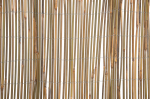 Paviljoni v&auml;ikesein 4Living, 500 cm x 100 cm, pruun v.
