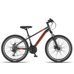 Jalgratas m&auml;gi- Champions Kaunos 24 DB (KAU.2421DSG), 24 ", 13" raam, hall v.