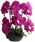 Kunsttaim potis, orhidee Home4you Garden Queen, roheline v./roosa v., 64 cm