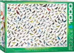 Pusle Eurographics The World of Birds 6000-0821, 67.6 cm x 48.9 cm, 1000 tk, mitmev&auml;rviline