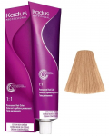 Juuksev&auml;rv Kadus Professional Permanent Color, very light blond brown cendre, 9/79, 60 ml