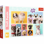 Pusle Trefl Dogs 15412T, 27.5 cm x 41 cm, 160 tk, mitmev&auml;rviline