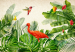Fototapeet Artgeist Exotic Birds, 70 cm x 70 cm