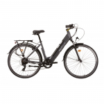 Elektriratas Denver Emotive, 28", 250 W, 13 Ah, hall v.