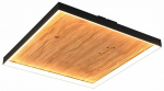 Valgusti lagi Trio Kalea 655510130, LED, 3000 &deg;K, 1 x 41 W, puidu v.