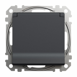 Pistikupesa Schneider Electric Sedna Design SDD214024, maandusega, IP44, antratsiit v.