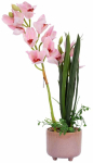 Kunsttaim potis, orhidee Home4you Garden Queen, roheline v./roosa v., 70 cm