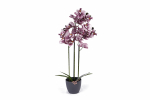 Kunstlilled vaasis, orhidee Domoletti, roosa v., 70 cm