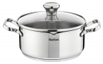 Pott Tefal 3168430212848, 20 cm, 2 l