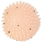 M&auml;nguasi koerale, pall Trixie TRX 09 Moonlight Hedgehog, &Oslash; 10 cm