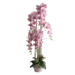 Kunstlilled vaasis, orhidee Home4you Garden Queen, heleroosa v., 124 cm