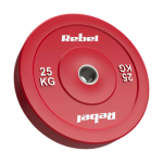 Ketasraskused Rebel Beast x 25 kg