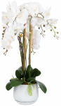 Kunsttaim potis, orhidee Home4you Garden Queen, valge v./roheline v., 68 cm
