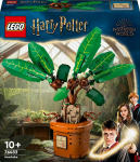 Kahjustatud pakendiga toode. Konstruktor LEGO&reg; Harry Potter N&otilde;iajuur 76433, 579 tk