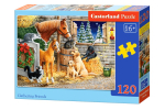 Pusle Castorland Gathering Friends 13340, 23 cm x 32 cm, 120 tk, mitmev&auml;rviline