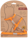 Kassi rakmed koos rihmaga Amiplay, 150 cm, oranž