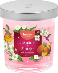 K&uuml;&uuml;nal, l&otilde;hna Bolsius Jasmin And Mango, 25 h, Roosa