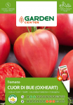 Seemned Garden Center, tomat OXHEART, 0.4 g