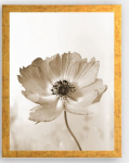 Pilt Wallity AC1680333027, 24 cm x 29 cm