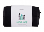 Juuksehoolduse komplekt Redken Amino-Mint Shampoo, 3 tk