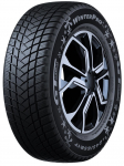 Talverehv GT Radial Winterpro 2 Evo 205/55/R17, 95-H, XL, D, B, 70 dB