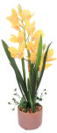 Kunsttaim potis, orhidee Home4you Garden Queen, kollane v./roheline v./pruunikas v., 70 cm x 16 cm